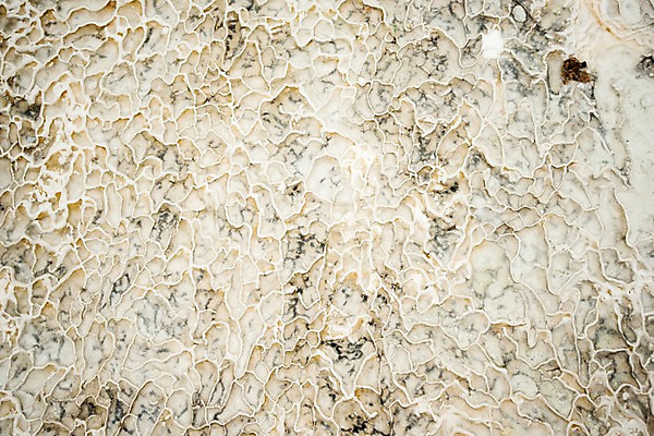 포토 JPG 주간 여행 바닥 사람없음 야외 온천 석회 파묵칼레 허니콤 튀르키예 국내포토 자연요소 모양 아시아 스파 파일형식