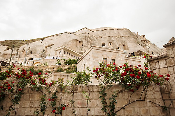 포토 JPG 주간 여행 카파도키아 풍경 사람없음 야외 담장 장미 돌 기암괴석 튀르키예 국내포토 자연요소 꽃 아시아 바위_돌 파일형식