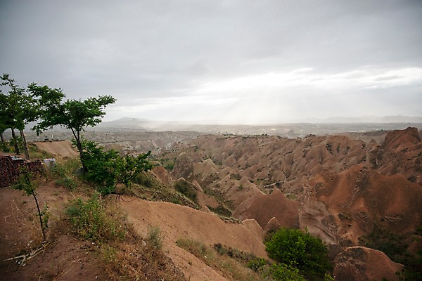 포토 JPG 주간 나무 여행 하늘 카파도키아 풍경 사람없음 야외 돌 기암괴석 로즈밸리 튀르키예 국내포토 자연요소 식물 아시아 바위_돌 파일형식