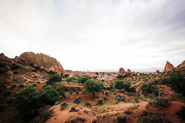 포토 JPG 주간 나무 여행 하늘 카파도키아 풍경 사람없음 야외 돌 기암괴석 로즈밸리 튀르키예 국내포토 자연요소 식물 아시아 바위_돌 파일형식