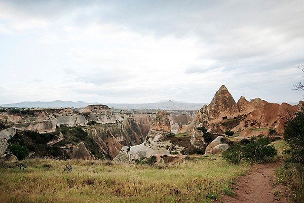포토 JPG 주간 나무 여행 하늘 카파도키아 풍경 사람없음 야외 돌 기암괴석 로즈밸리 튀르키예 국내포토 자연요소 식물 아시아 바위_돌 파일형식