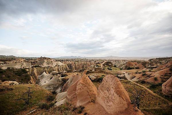 포토 JPG 주간 나무 여행 하늘 카파도키아 풍경 사람없음 야외 돌 기암괴석 로즈밸리 튀르키예 국내포토 자연요소 식물 아시아 바위_돌 파일형식