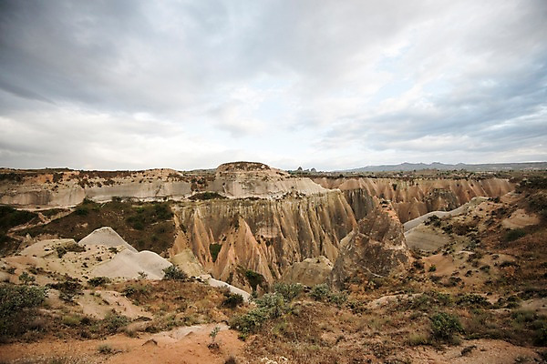 포토 JPG 주간 나무 여행 하늘 카파도키아 풍경 사람없음 야외 돌 기암괴석 로즈밸리 튀르키예 국내포토 자연요소 식물 아시아 바위_돌 파일형식
