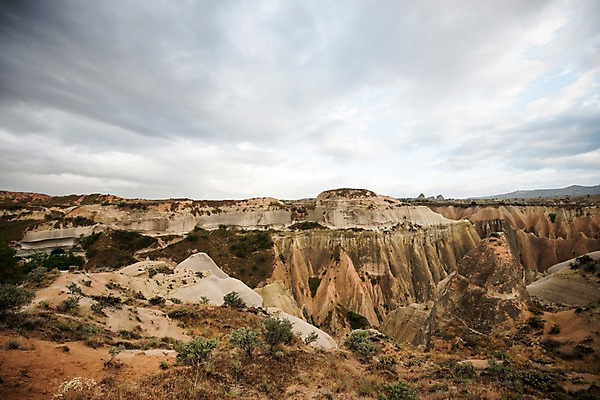 포토 JPG 주간 나무 여행 하늘 카파도키아 풍경 사람없음 야외 돌 기암괴석 로즈밸리 튀르키예 국내포토 자연요소 식물 아시아 바위_돌 파일형식