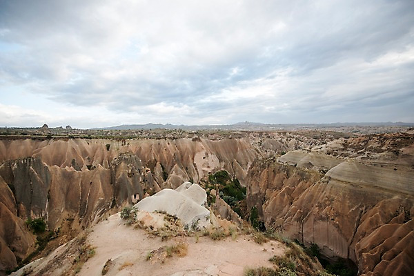 포토 JPG 주간 나무 여행 하늘 카파도키아 풍경 사람없음 야외 돌 기암괴석 로즈밸리 튀르키예 국내포토 자연요소 식물 아시아 바위_돌 파일형식