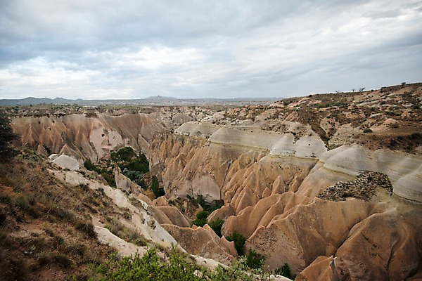 포토 JPG 주간 나무 여행 하늘 카파도키아 풍경 사람없음 야외 돌 기암괴석 로즈밸리 튀르키예 국내포토 자연요소 식물 아시아 바위_돌 파일형식