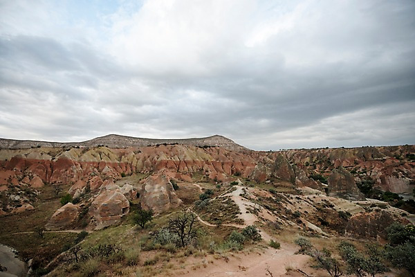 포토 JPG 주간 나무 여행 하늘 카파도키아 풍경 사람없음 야외 돌 기암괴석 로즈밸리 튀르키예 국내포토 자연요소 식물 아시아 바위_돌 파일형식