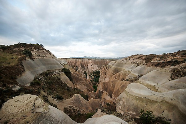 포토 JPG 주간 나무 여행 하늘 카파도키아 풍경 사람없음 야외 돌 기암괴석 로즈밸리 튀르키예 국내포토 자연요소 식물 아시아 바위_돌 파일형식