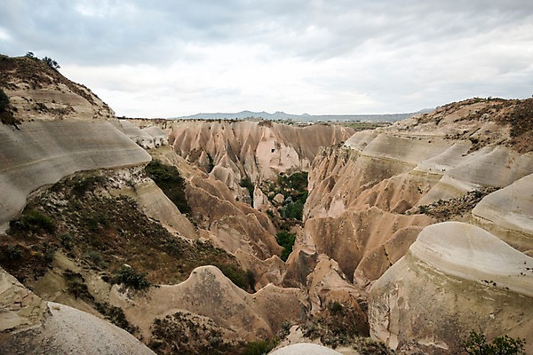 포토 JPG 주간 나무 여행 하늘 카파도키아 풍경 사람없음 야외 돌 기암괴석 로즈밸리 튀르키예 국내포토 자연요소 식물 아시아 바위_돌 파일형식