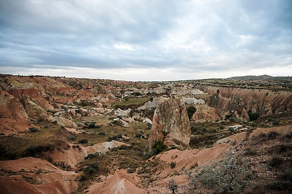포토 JPG 주간 나무 여행 하늘 카파도키아 풍경 사람없음 야외 돌 기암괴석 로즈밸리 튀르키예 국내포토 자연요소 식물 아시아 바위_돌 파일형식