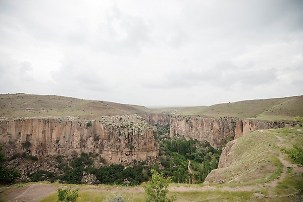 포토 JPG 주간 나무 구름 여행 자연 하늘 카파도키아 풍경 사람없음 야외 절벽 기암괴석 튀르키예 국내포토 자연요소 식물 아시아 바위_돌 생태계 파일형식