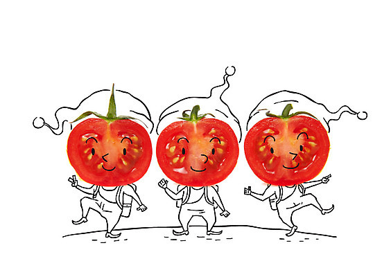 편집이미지 토마토 방울토마토 사람없음 난쟁이 이미지편집 AI파일 채소 파일형식 벡터