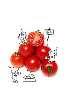 편집이미지 남자 토마토 방울토마토 서기 사람 앉기 세명 난쟁이 이미지편집 AI파일 채소 모션 파일형식 벡터