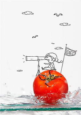 구름 편집이미지 남자 섬 다이어트 토마토 갈매기 한명 사람 앉기 물 망원경 가리킴 난쟁이 이미지편집 AI파일 자연요소 1 채소 모션 조류 건강 손짓 파일형식 벡터