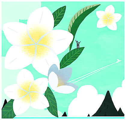 PSD 꽃 바다 일러스트 사람모양 하와이 플루메리아 국내일러스트 모양 식물 미국 파일형식
