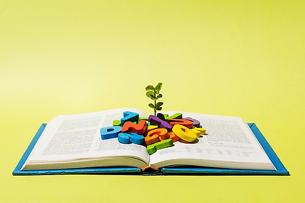 포토 JPG 스튜디오촬영 알파벳 영어 교육 생각 놀이 사람없음 책 새싹 블록 교구 에듀케이션 국내포토 식물 문자 실내 파일형식