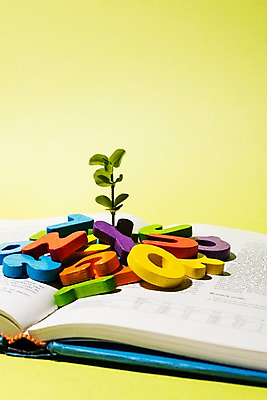 포토 JPG 스튜디오촬영 알파벳 영어 교육 생각 놀이 사람없음 책 새싹 블록 교구 에듀케이션 국내포토 식물 문자 실내 파일형식