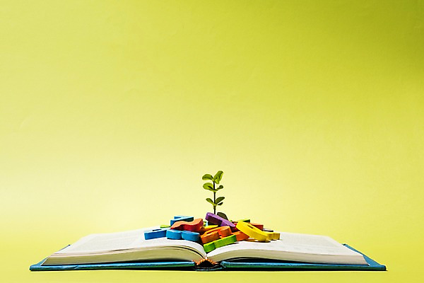 포토 JPG 스튜디오촬영 알파벳 영어 교육 생각 놀이 사람없음 책 새싹 블록 교구 에듀케이션 국내포토 식물 문자 실내 파일형식