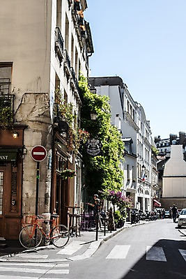 포토 JPG 주간 식물 유럽 도로 사람 여러명 야외 건물 자전거 프랑스 파리_프랑스 국내포토 자연요소 건축물 나라 길 다수 교통시설 바이크 파일형식