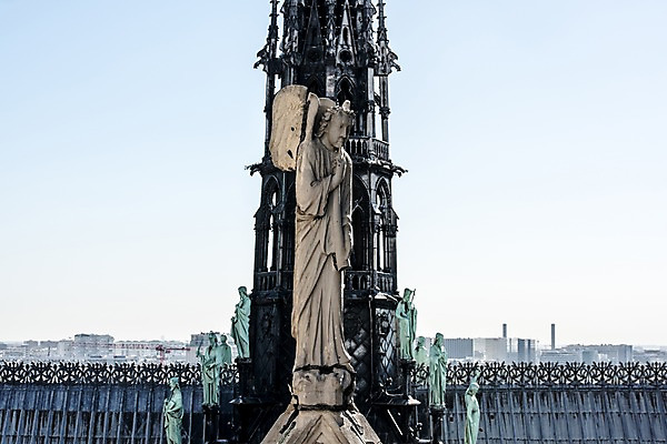 포토 JPG 주간 유럽 사람없음 야외 건물 조각상 프랑스 파리_프랑스 노트르담 수호상 국내포토 자연요소 건축물 나라 조형물 파일형식