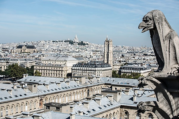 포토 JPG 주간 유럽 건축양식 지붕 사람없음 야외 건물 조각상 성당 프랑스 파리_프랑스 노트르담 국내포토 자연요소 건축물 건축 나라 종교건축 조형물 파일형식