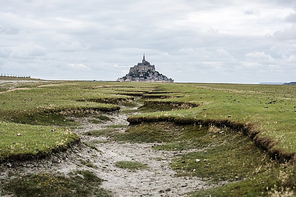포토 JPG 주간 유럽 자연 풍경 초원 사람없음 야외 프랑스 썰물 파리_프랑스 밀물 몽생미셸 국내포토 자연요소 나라 바다 섬 생태계 파일형식