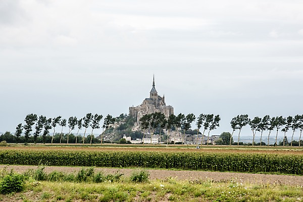 포토 JPG 주간 나무 구름 유럽 하늘 거리 사람없음 야외 프랑스 파리_프랑스 몽생미셸 국내포토 자연요소 식물 나라 섬 파일형식