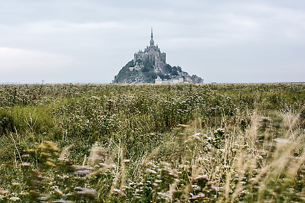 포토 JPG 주간 유럽 초원 사람없음 야외 프랑스 파리_프랑스 몽생미셸 국내포토 자연요소 나라 섬 파일형식