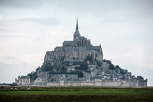 포토 JPG 주간 유럽 섬 여러마리 풍경 사람없음 야외 프랑스 양 파리_프랑스 몽생미셸 국내포토 자연요소 나라 다수 포유류 파일형식