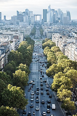 포토 JPG 주간 나무 유럽 도로 자동차 거리 사람없음 야외 건물 프랑스 도시 파리_프랑스 라데팡스 국내포토 자연요소 식물 건축물 나라 길 육상교통 교통시설 관광지 파일형식