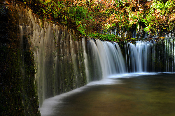 포토 JPG 주간 나무 해외풍경 자연 풍경 사람없음 야외 일본 폭포 나가노 국내포토 자연요소 식물 해외 아시아 생태계 파일형식