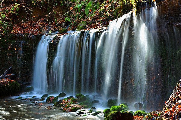 포토 JPG 주간 나무 해외풍경 자연 풍경 사람없음 야외 일본 폭포 나가노 국내포토 자연요소 식물 해외 아시아 생태계 파일형식