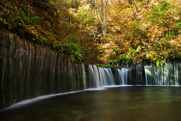 포토 JPG 주간 나무 해외풍경 자연 풍경 사람없음 야외 일본 폭포 나가노 국내포토 자연요소 식물 해외 아시아 생태계 파일형식