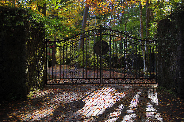 포토 JPG 주간 나무 해외풍경 자연 풍경 사람없음 야외 정원 일본 철문 나가노 국내포토 자연요소 식물 해외 아시아 문 생태계 파일형식