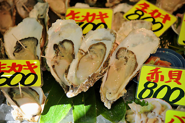 포토 JPG 주간 해외풍경 풍경 사람없음 야외 일본 굴 시장 도쿄 가격 어시장 국내포토 자연요소 해외 아시아 어패류 파일형식