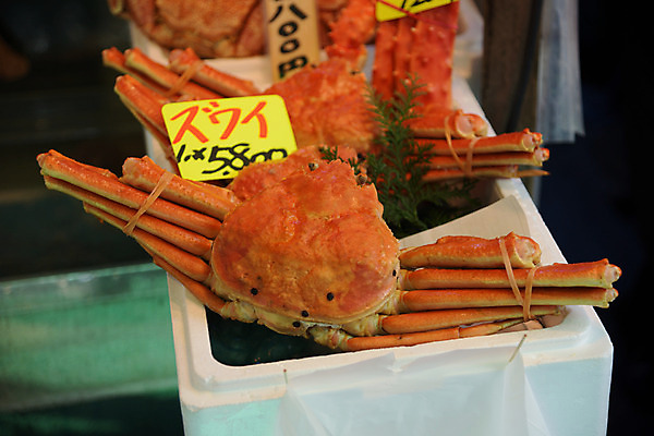 포토 JPG 주간 해외풍경 풍경 사람없음 야외 일본 시장 도쿄 대게 어시장 국내포토 자연요소 해외 아시아 게 파일형식
