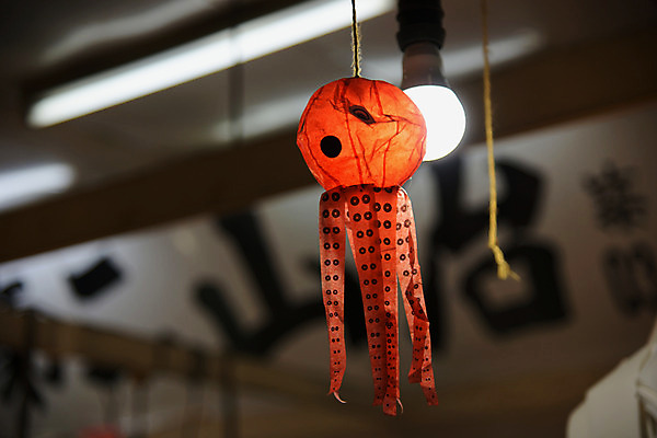 포토 JPG 주간 해외풍경 풍경 사람없음 야외 모형 일본 문어 국내포토 자연요소 해외 아시아 연체동물 수중동물 파일형식