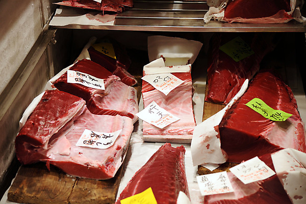 포토 JPG 주간 해외풍경 풍경 사람없음 야외 일본 도쿄 참치 어시장 국내포토 자연요소 해외 아시아 어류 시장 파일형식