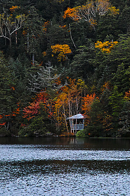 포토 JPG 주간 나무 해외풍경 호수 단풍 자연 하늘 풍경 사람없음 야외 일본 나가노 국내포토 자연요소 식물 해외 아시아 잎 생태계 파일형식