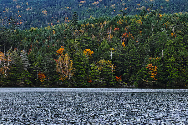 포토 JPG 주간 나무 해외풍경 호수 단풍 자연 하늘 풍경 사람없음 야외 일본 나가노 국내포토 자연요소 식물 해외 아시아 잎 생태계 파일형식