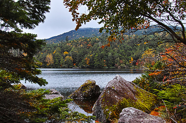 포토 JPG 주간 나무 해외풍경 호수 단풍 자연 하늘 풍경 사람없음 야외 일본 나가노 국내포토 자연요소 식물 해외 아시아 잎 생태계 파일형식