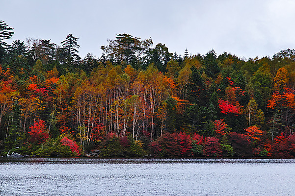 포토 JPG 주간 나무 해외풍경 호수 단풍 자연 하늘 풍경 사람없음 야외 일본 나가노 국내포토 자연요소 식물 해외 아시아 잎 생태계 파일형식