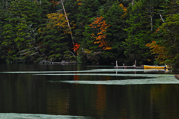 포토 JPG 주간 나무 해외풍경 호수 자연 풍경 사람없음 야외 일본 돛단배 돗단배 나가노 국내포토 자연요소 식물 해외 아시아 배_교통 생태계 파일형식