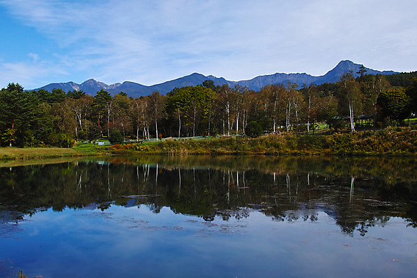 포토 JPG 주간 나무 해외풍경 호수 자연 풍경 사람없음 야외 일본 나가노 국내포토 자연요소 식물 해외 아시아 생태계 파일형식