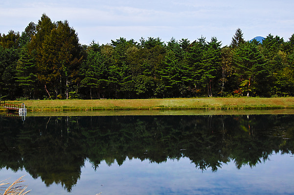 포토 JPG 주간 나무 해외풍경 호수 자연 풍경 사람없음 야외 일본 나가노 국내포토 자연요소 식물 해외 아시아 생태계 파일형식
