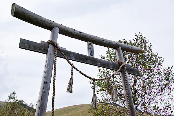 포토 JPG 주간 해외풍경 자연 하늘 풍경 사람없음 야외 일본 토리이 나가노 국내포토 자연요소 해외 아시아 생태계 신사_건축물 파일형식