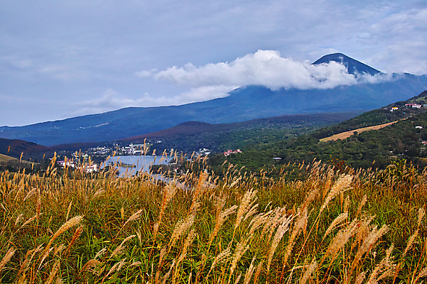 포토 JPG 주간 해외풍경 자연 하늘 풍경 초원 사람없음 야외 일본 갈대밭 나가노 국내포토 자연요소 해외 아시아 생태계 파일형식 갈대_식물