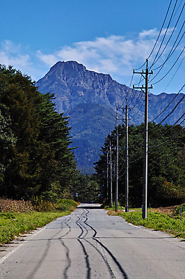 포토 JPG 주간 나무 해외풍경 도로 자연 하늘 산 풍경 사람없음 야외 일본 전봇대 나가노 국내포토 자연요소 식물 해외 공공시설 아시아 길 교통시설 생태계 파일형식