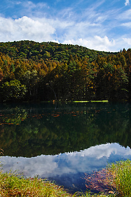 포토 JPG 주간 나무 해외풍경 호수 자연 풍경 사람없음 야외 일본 나가노 국내포토 자연요소 식물 해외 아시아 생태계 파일형식