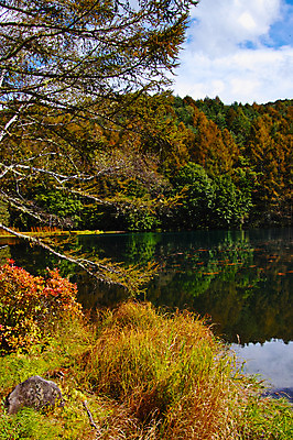 포토 JPG 주간 나무 해외풍경 호수 자연 풍경 사람없음 야외 일본 나가노 국내포토 자연요소 식물 해외 아시아 생태계 파일형식